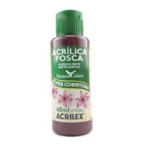 TINTA ACRILICA FOSCA 60ML 565/VINHO  - UN